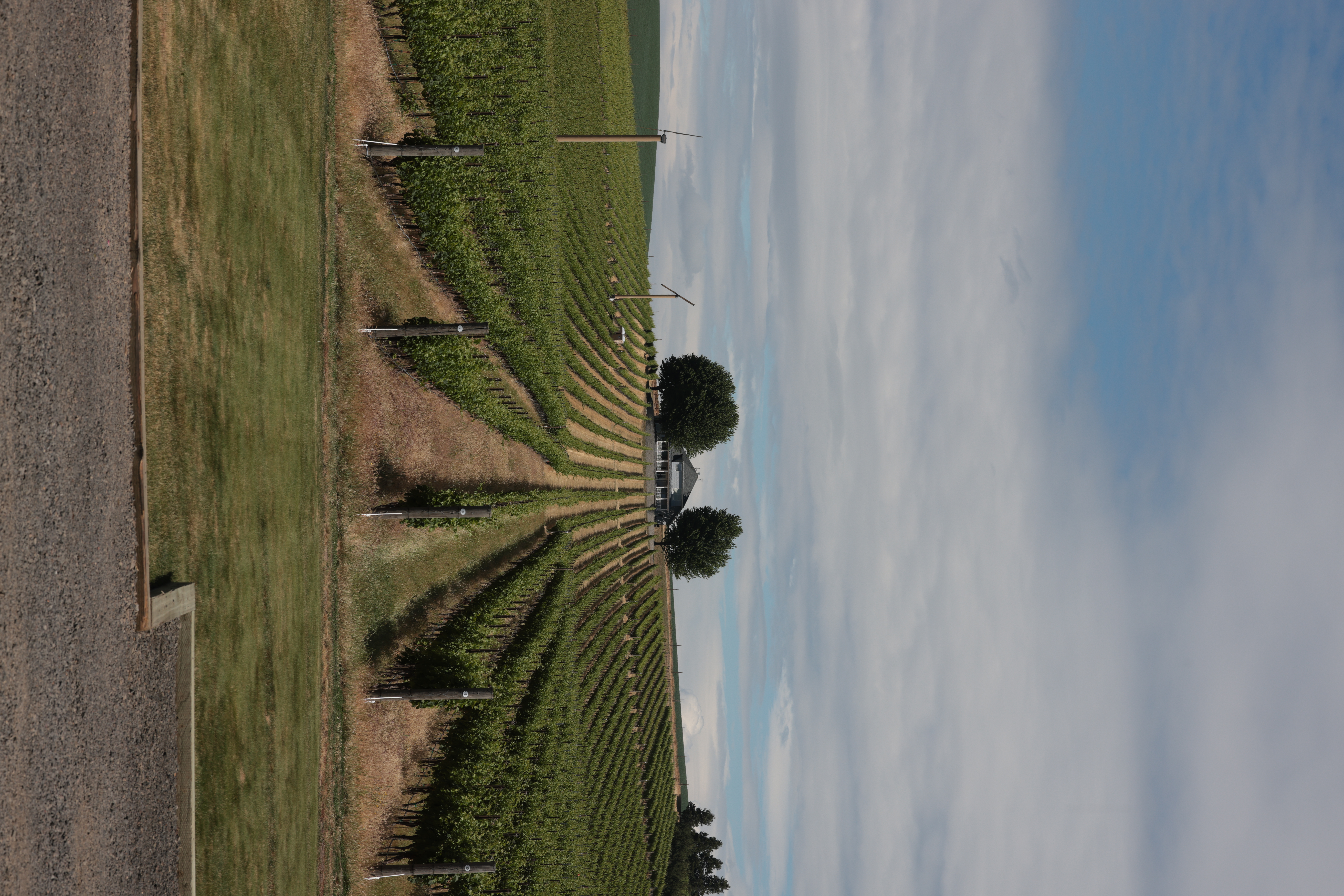 Walla Walla Vintners